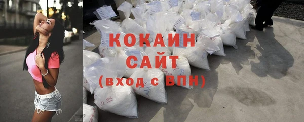 индика Аркадак