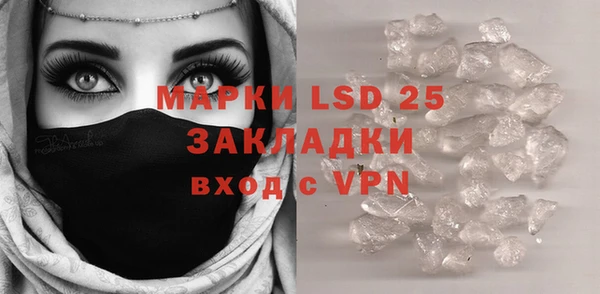 индика Аркадак