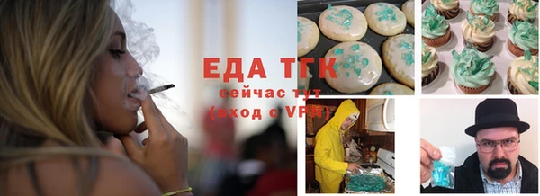 индика Аркадак