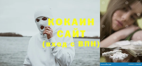 прущие грибы Переславль-Залесский