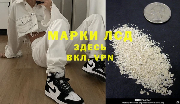 индика Аркадак