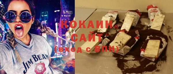 гашик Пересвет