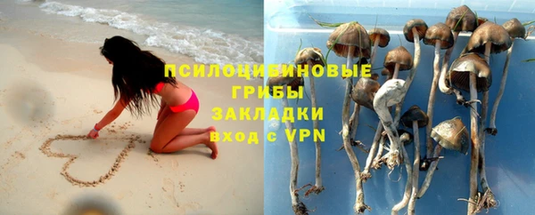 индика Аркадак